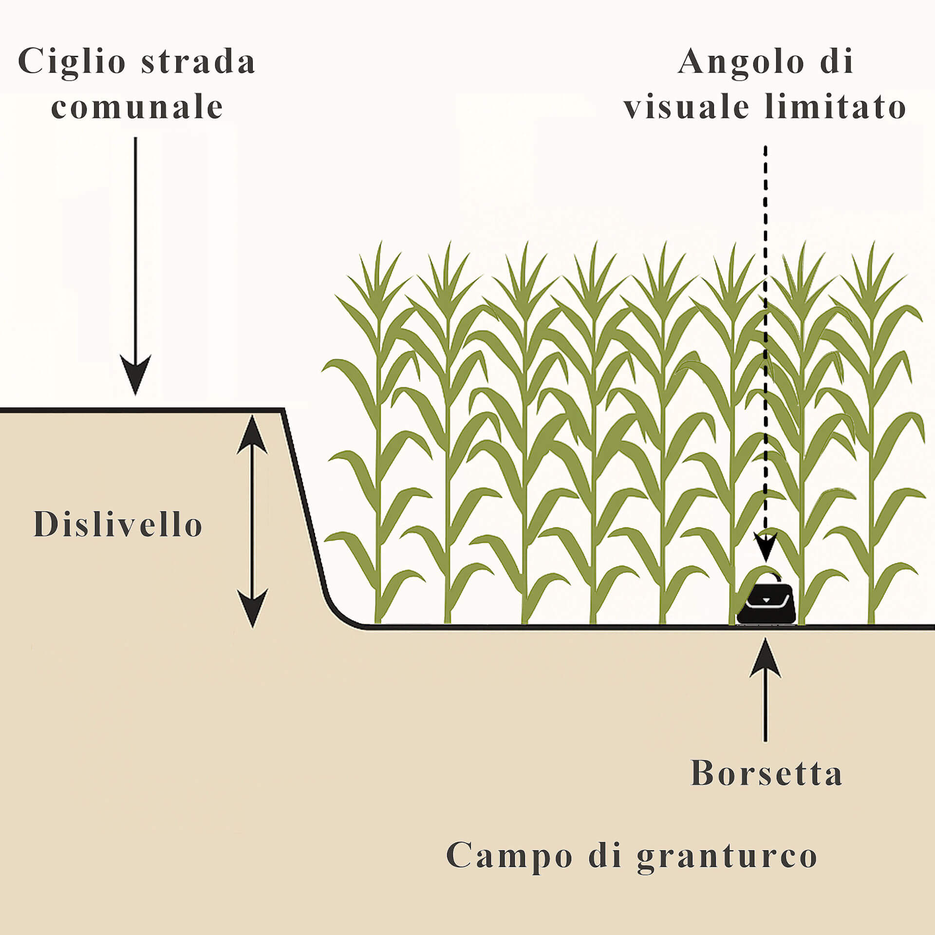 Schema illustrativo della posizione della borsetta di Stefania Pettini nel campo di granturco.